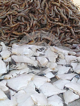 Shrimps and fish sold box Praia Grande Sao Paulo Brazil photo