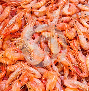 Shrimps at fishmarket photo