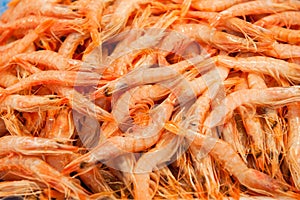 Shrimps at fishmarket