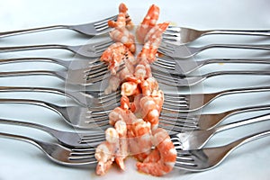 Shrimps on forks