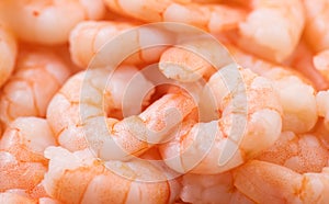Shrimps. Fresh peeled Prawns isolated on white background. Preparing healthy seafood