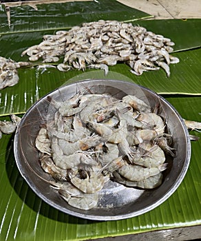 Shrimps that have been weighed and ready to be sold to the public in traditional markets