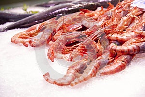 Shrimps in ice
