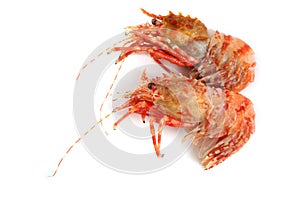 Shrimps isolated on white northern Bering shrimp