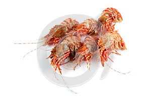 Shrimps isolated on white northern Bering shrimp