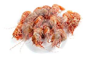 Shrimps isolated on white northern Bering shrimp