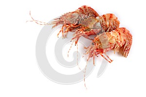 Shrimps isolated on white northern Bering shrimp