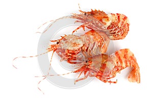 Shrimps isolated on white northern Bering shrimp
