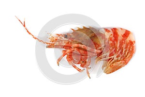 Shrimps isolated on white northern Bering shrimp