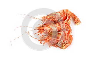 Shrimps isolated on white northern Bering shrimp