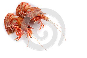 Shrimps isolated on white northern Bering shrimp