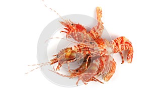 Shrimps isolated on white northern Bering shrimp