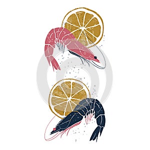 Shrimps with lemon slices. Hand drawn vector illustrations. Background template for design, menu, packaging