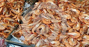 Shrimps in market