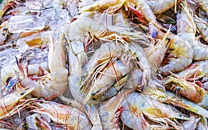 Shrimps on the market texture pattern in Puerto Escondido Mexico photo