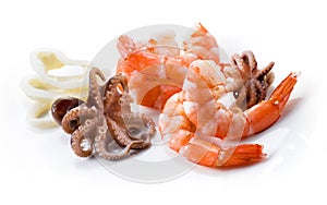 Shrimps, octopus; and squid. Seafood isolated