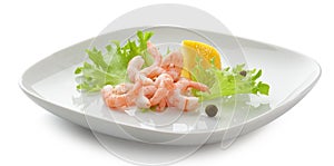 Shrimps on the plate photo