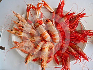 shrimps on plate for dinner in a restaurant