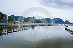 At shrimps pond in the rainy season,and paddle wheel aerator