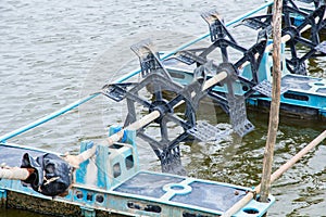 At shrimps pond in the rainy season,and paddle wheel aerator