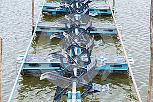 At shrimps pond in the rainy season,and paddle wheel aerator