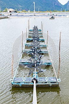 At shrimps pond in the rainy season,and paddle wheel aerator