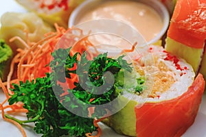 Shrimps with rice and parsley in close-up image. Sashimi sushi in close up picture. Plate of seafood. Fresh and delicious maki and