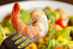 Shrimps salad photo