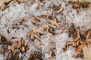 Shrimps on sale at Greek island Kalymnos market