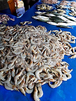 Shrimps For Sell at The Market in Meulaboh, Aceh