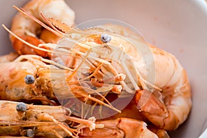 Shrimps in white bowl