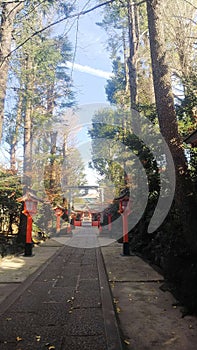 Mabashi Inari Shrine approach shrine contrail blue sky photo