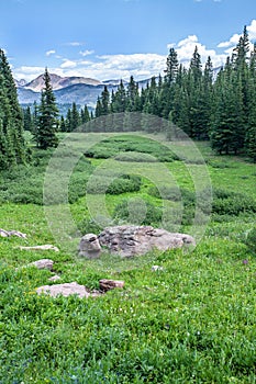 Shrine Pass - Colorado Mountain Scenery