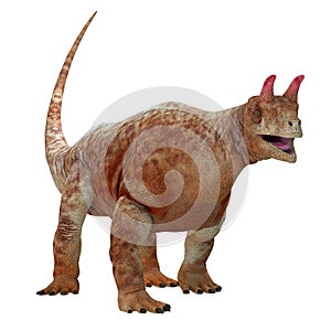 Shringasaurus Archosaur over White