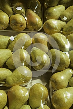 Shrink-wrapped trays of Bartlett pears photo