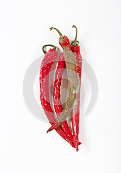 Shrinking and mouldy chili peppers photo