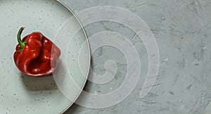 ugly red pepper on a plate, against a rough gray background. Horizontal orientation with space, top photo