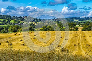 Shropshire Country side. Hay bales lovely rolling golden fields and blue sky photo