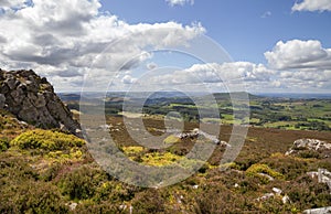 Shropshire heathland, England