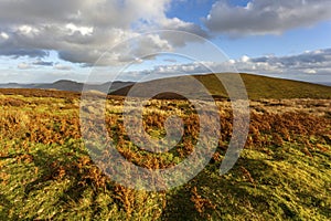 Shropshire Hills, The Longmynd