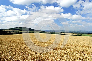 Shropshire Landscape photo