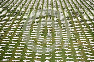 Shrouds of the Somme exhibition in Exeter
