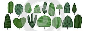 Shrub bush shrubbery tree simple abstract flat cartoon vector illustration. Green garden plant isolated on transparent photo