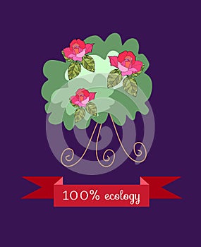 Shrub roses, on dark - lilac background with red banner