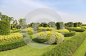 Shrub trimming ornamental in public green park and grass field