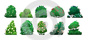 Shrubbery with flowers. Cartoon bushes with blooming plants, garden topiary of deciduous bushes with blooming flowers, bush with photo