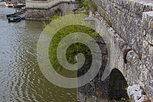 Shrubs on a bridge over the Cosson River Chambord France