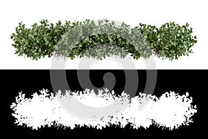 Shrubs isolated on white background. High quality clipping mask. Also available on transparent background in PNG format.