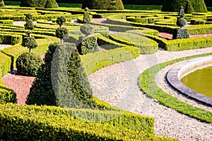 Shrubs and low hedges of box tree pruned in geometric shapes in a french formal garden