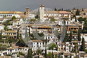 Cespugli un alberi giardino da case da da la città da 